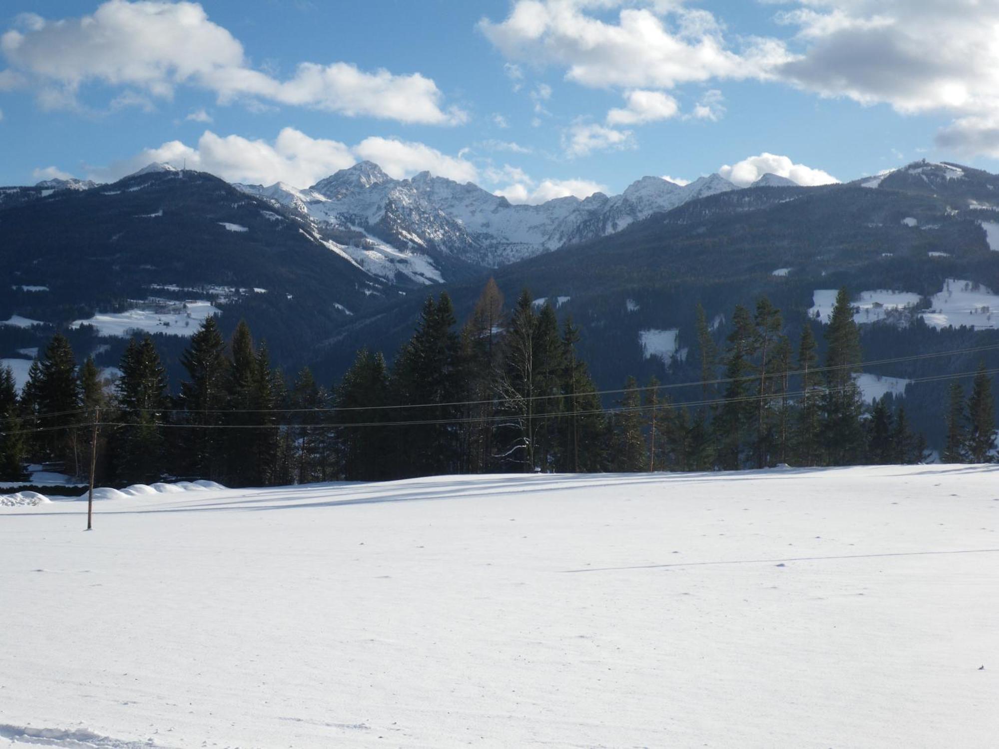 Austrian Alpine Apartments Ramsau am Dachstein Buitenkant foto