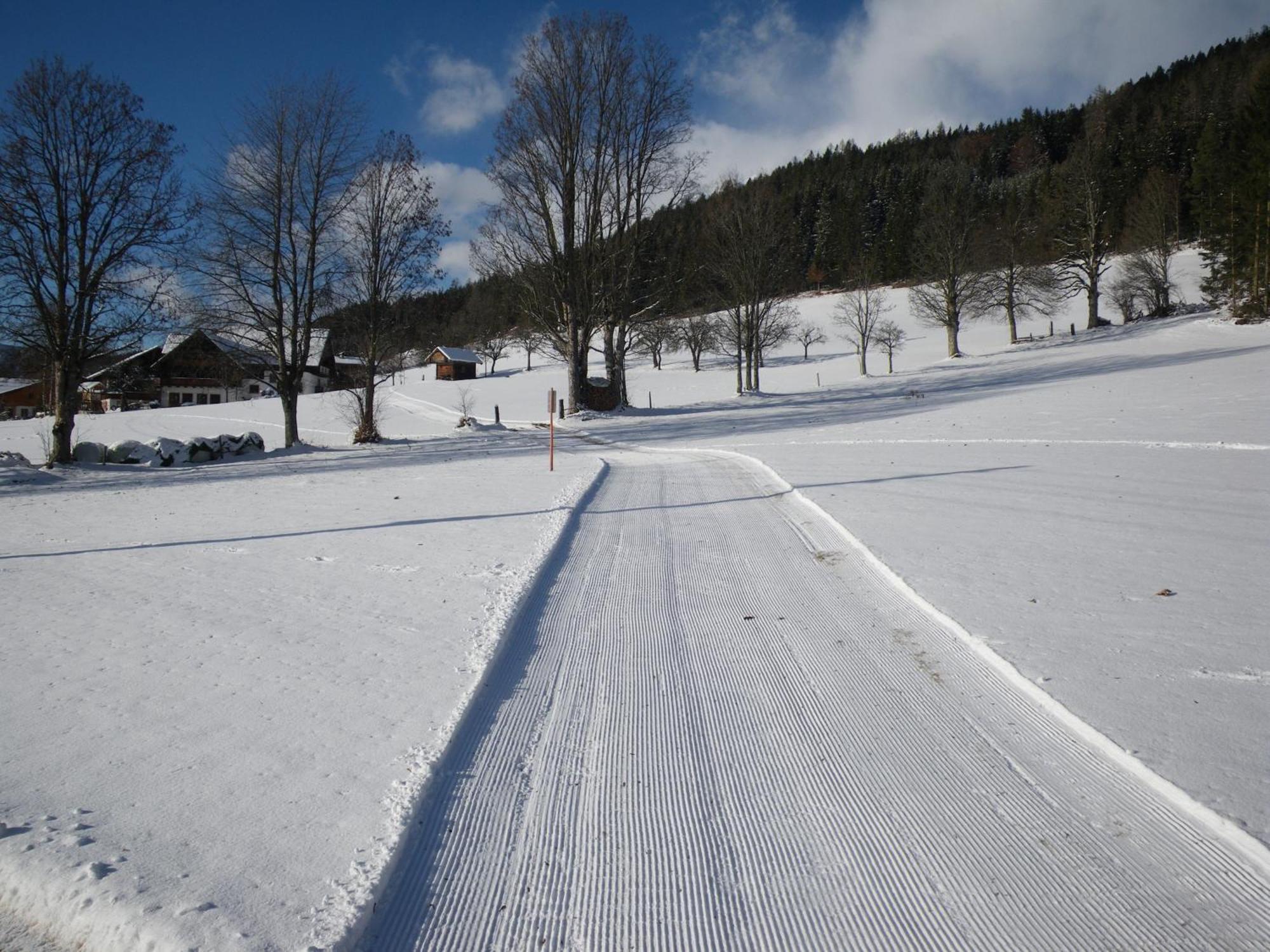 Austrian Alpine Apartments Ramsau am Dachstein Buitenkant foto