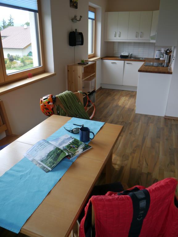 Austrian Alpine Apartments Ramsau am Dachstein Buitenkant foto